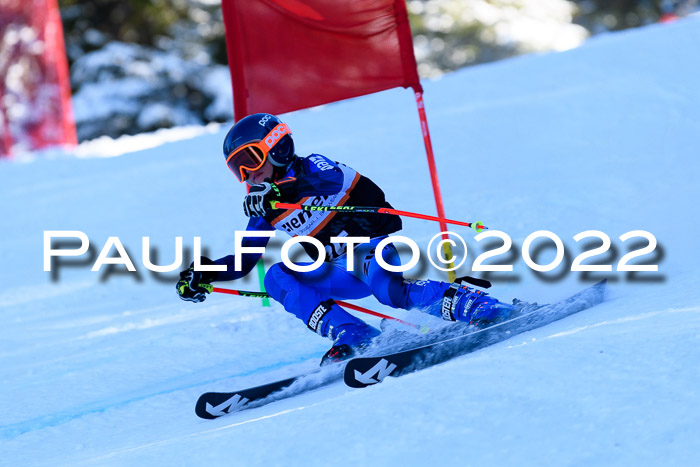 BSV Ziener Kids Cross Rennen 1 Region 3  U12 + ASV Reischmann Cup U12