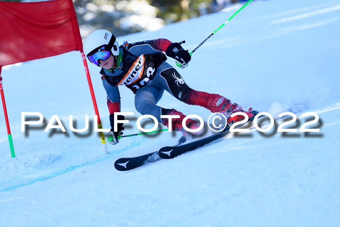 BSV Ziener Kids Cross Rennen 1 Region 3  U12 + ASV Reischmann Cup U12