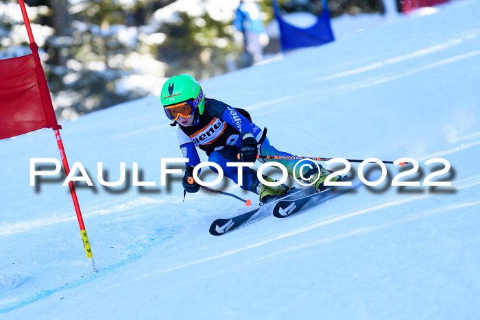 BSV Ziener Kids Cross Rennen 1 Region 3  U12 + ASV Reischmann Cup U12