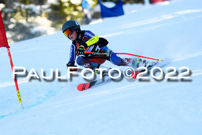 BSV Ziener Kids Cross Rennen 1 Region 3  U12 + ASV Reischmann Cup U12