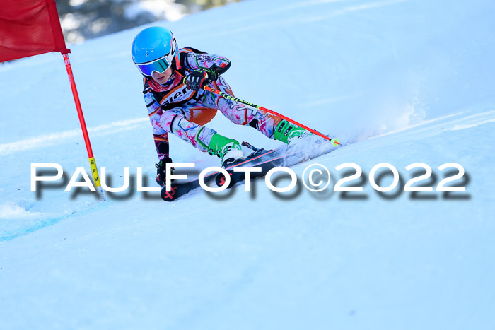 BSV Ziener Kids Cross Rennen 1 Region 3  U12 + ASV Reischmann Cup U12