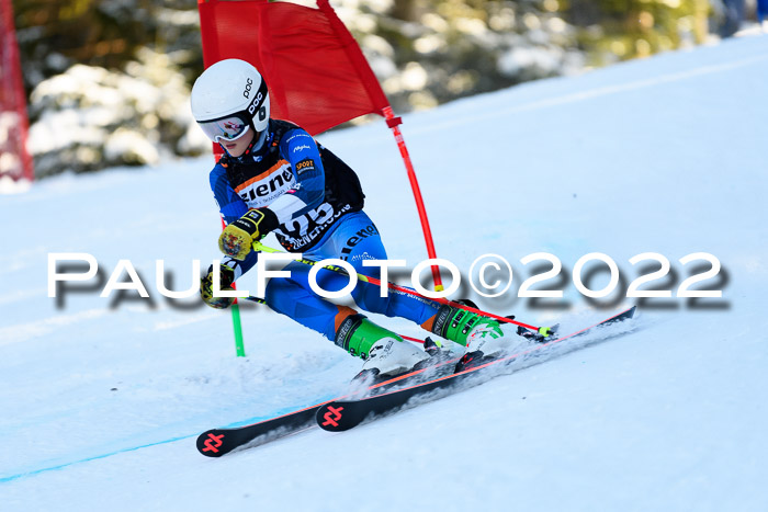 BSV Ziener Kids Cross Rennen 1 Region 3  U12 + ASV Reischmann Cup U12