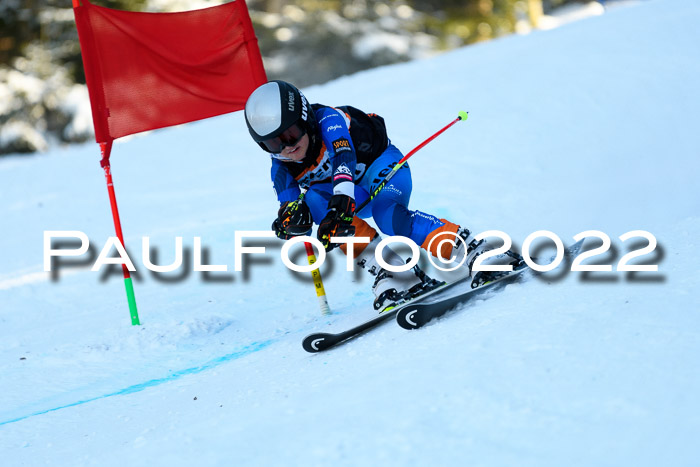 BSV Ziener Kids Cross Rennen 1 Region 3  U12 + ASV Reischmann Cup U12