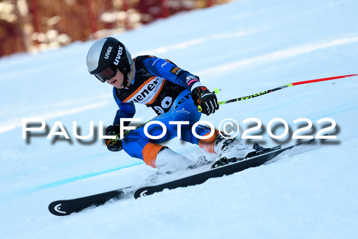 BSV Ziener Kids Cross Rennen 1 Region 3  U12 + ASV Reischmann Cup U12