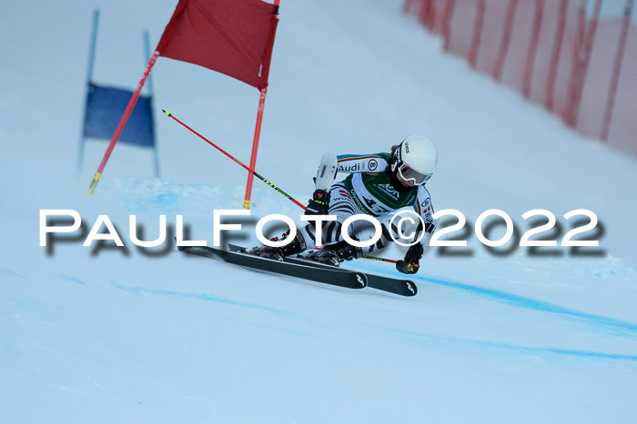 FIS + NJC Super-G Damen und Herren, Kandahar 05.02.2022