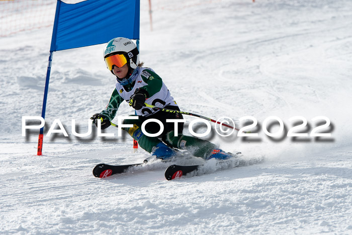 DSV Skitty Cup Sudelfeld 06.02.2022