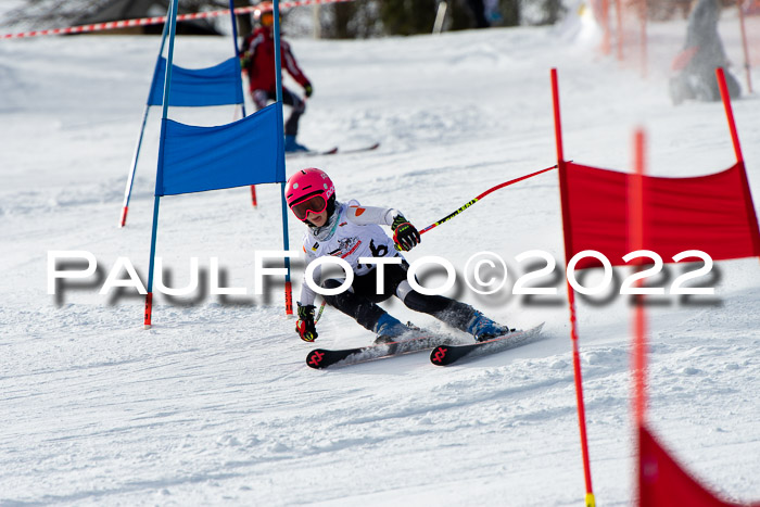 DSV Skitty Cup Sudelfeld 06.02.2022