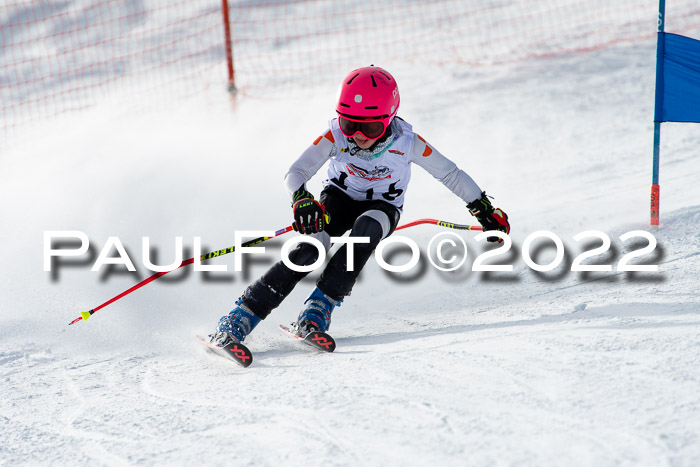 DSV Skitty Cup Sudelfeld 06.02.2022