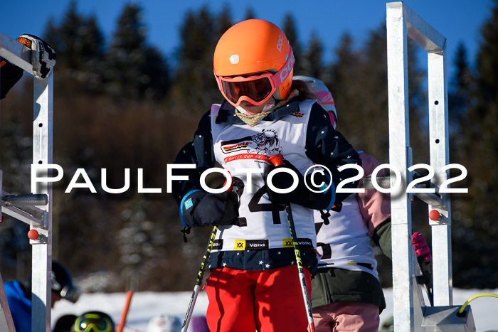 5. DSV Skitty Cup Alpin, 13.02.2022