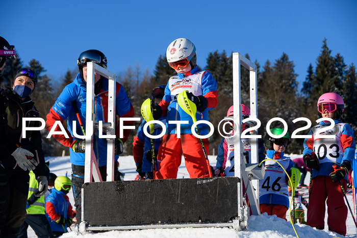 5. DSV Skitty Cup Alpin, 13.02.2022