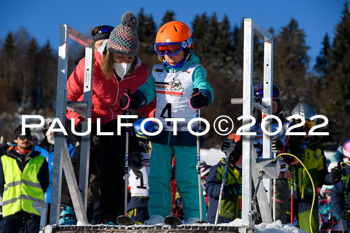 5. DSV Skitty Cup Alpin, 13.02.2022