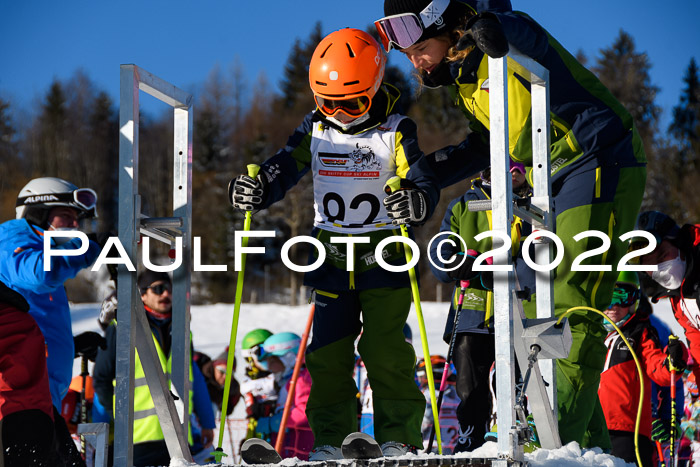 5. DSV Skitty Cup Alpin, 13.02.2022