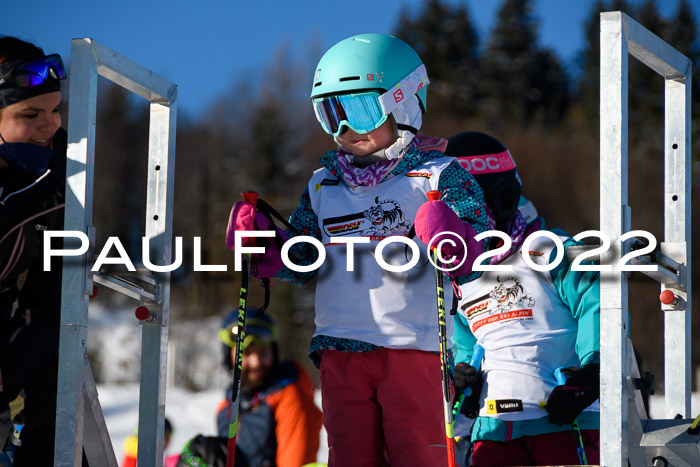 5. DSV Skitty Cup Alpin, 13.02.2022