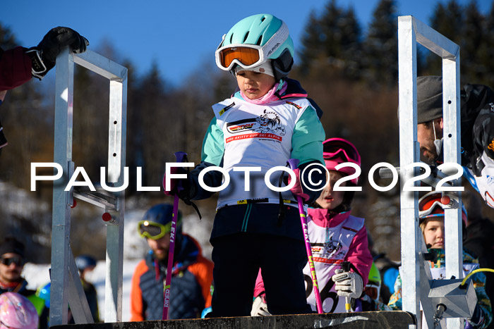 5. DSV Skitty Cup Alpin, 13.02.2022