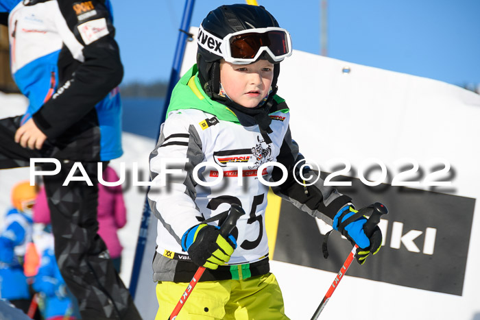 5. DSV Skitty Cup Alpin, 13.02.2022