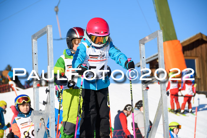 5. DSV Skitty Cup Alpin, 13.02.2022