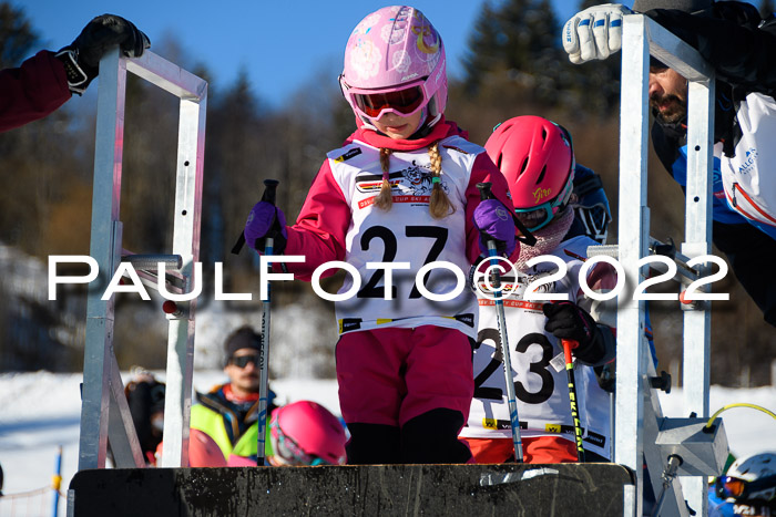 5. DSV Skitty Cup Alpin, 13.02.2022