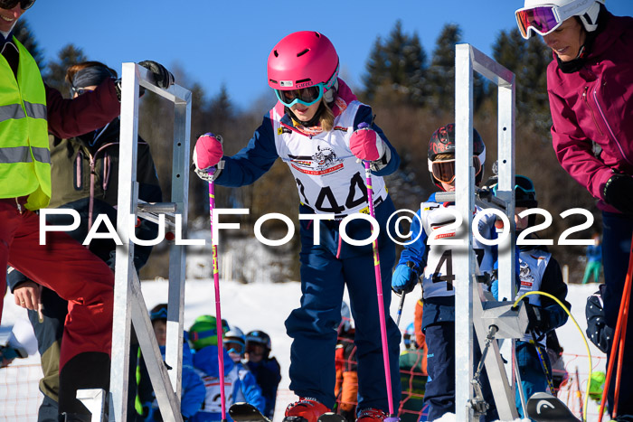 5. DSV Skitty Cup Alpin, 13.02.2022