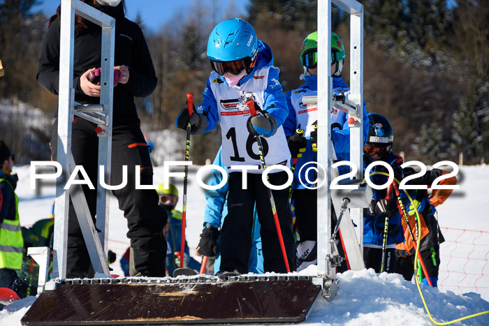 5. DSV Skitty Cup Alpin, 13.02.2022