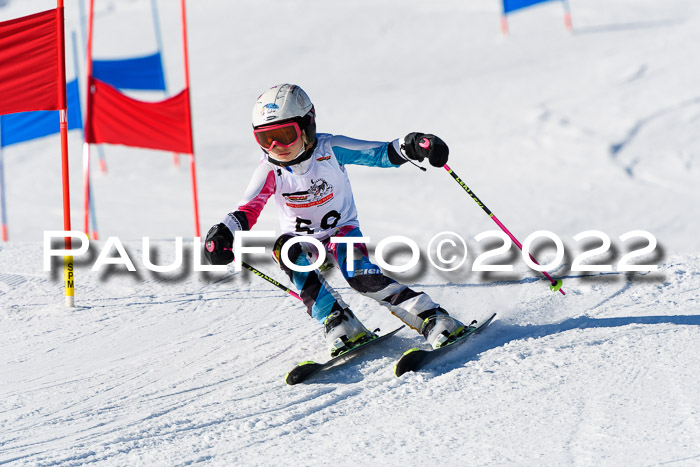 5. DSV Skitty Cup Alpin, 13.02.2022