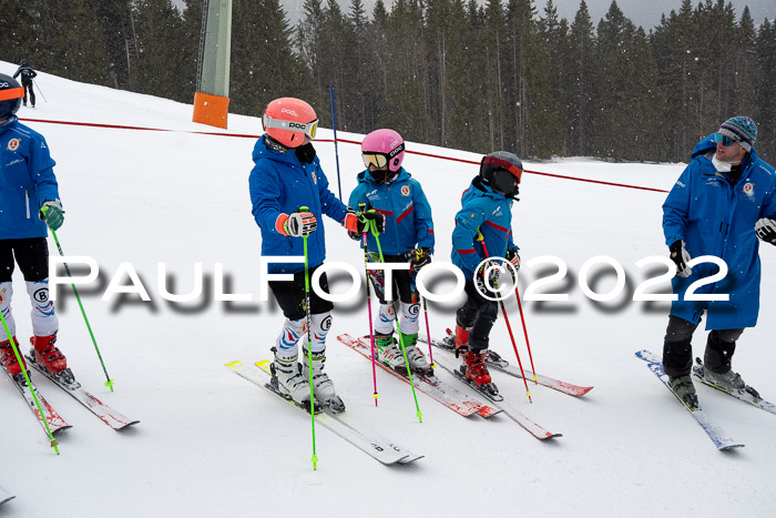 Ziener Kids Race Cross U12  Reg III + Ziener Cup WF