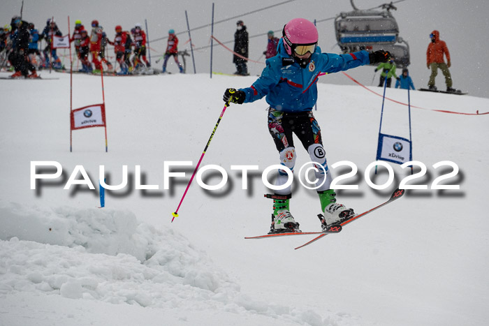 Ziener Kids Race Cross U12  Reg III + Ziener Cup WF