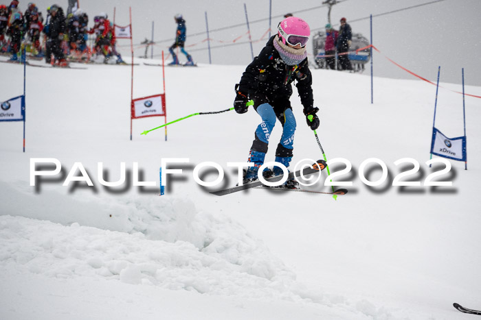 Ziener Kids Race Cross U12  Reg III + Ziener Cup WF