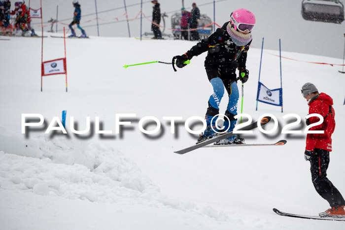 Ziener Kids Race Cross U12  Reg III + Ziener Cup WF