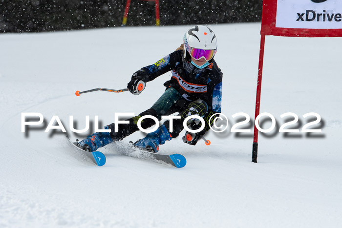 Ziener Kids Race Cross U12  Reg III + Ziener Cup WF