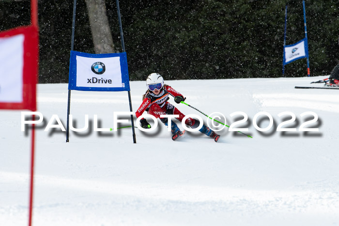 Ziener Kids Race Cross U12  Reg III + Ziener Cup WF