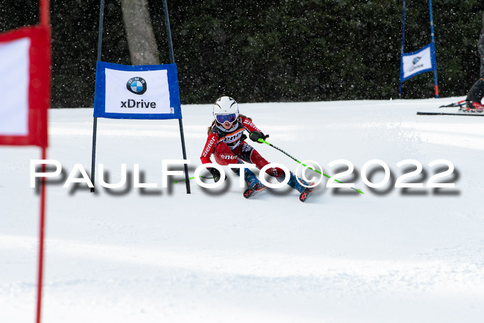 Ziener Kids Race Cross U12  Reg III + Ziener Cup WF