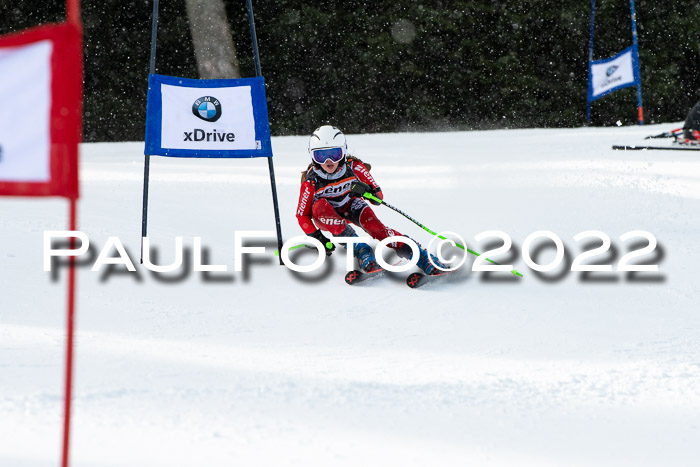 Ziener Kids Race Cross U12  Reg III + Ziener Cup WF