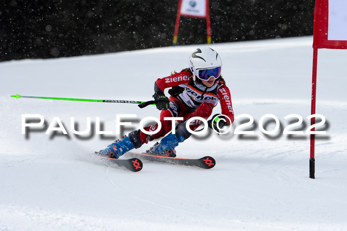 Ziener Kids Race Cross U12  Reg III + Ziener Cup WF