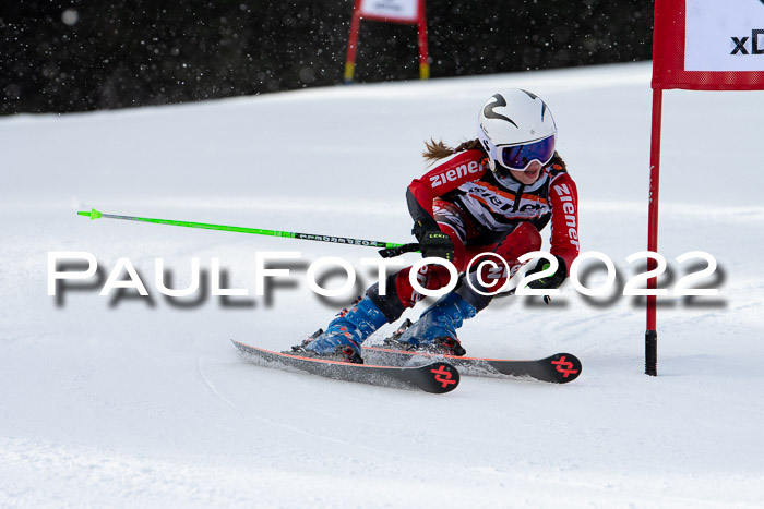 Ziener Kids Race Cross U12  Reg III + Ziener Cup WF