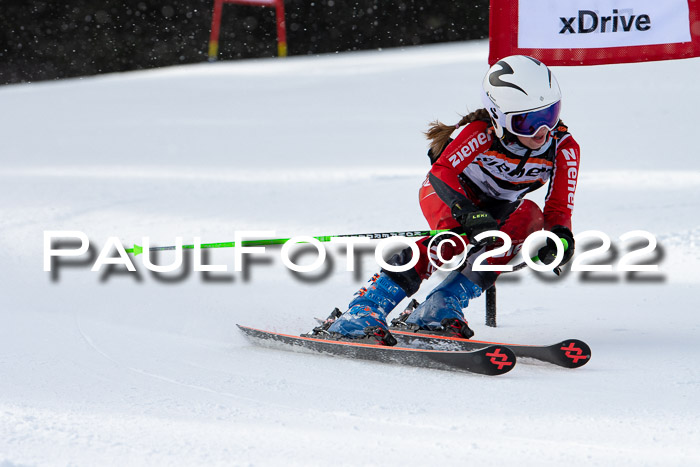 Ziener Kids Race Cross U12  Reg III + Ziener Cup WF