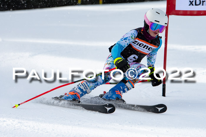 Ziener Kids Race Cross U12  Reg III + Ziener Cup WF