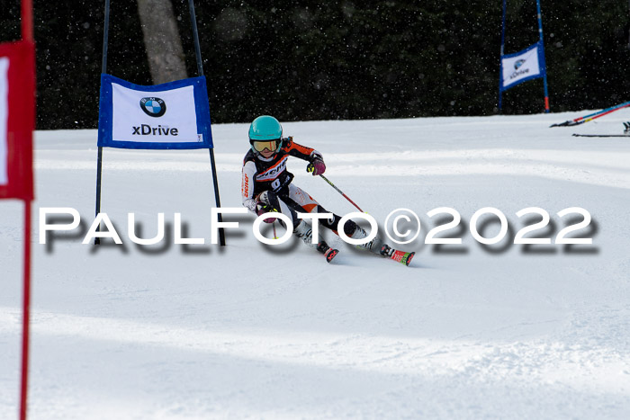 Ziener Kids Race Cross U12  Reg III + Ziener Cup WF