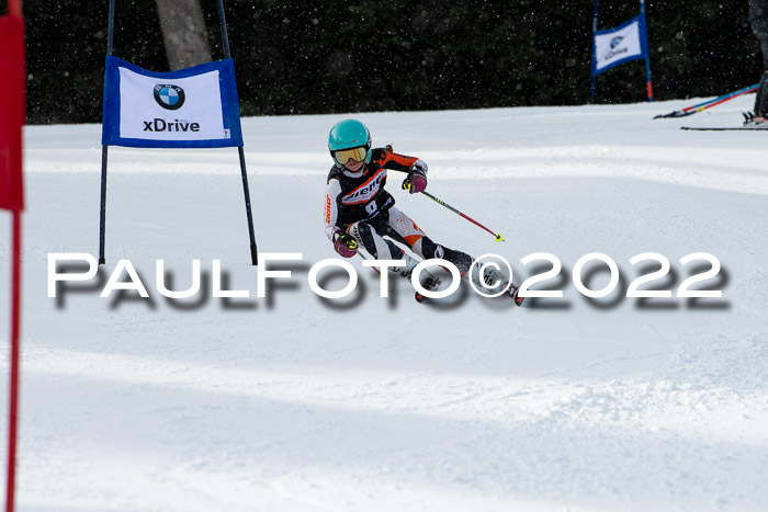 Ziener Kids Race Cross U12  Reg III + Ziener Cup WF