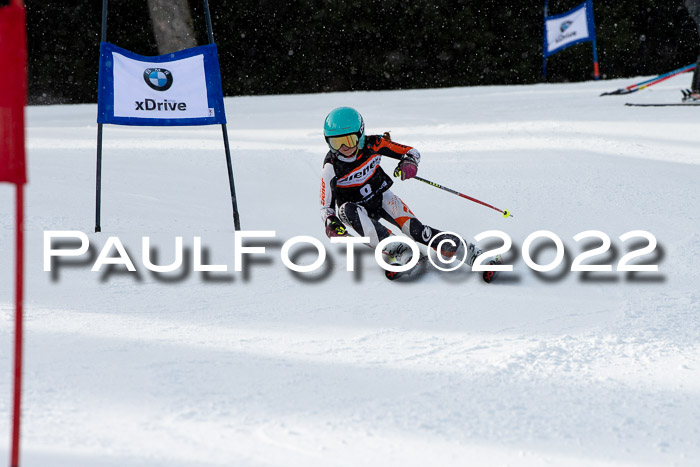 Ziener Kids Race Cross U12  Reg III + Ziener Cup WF