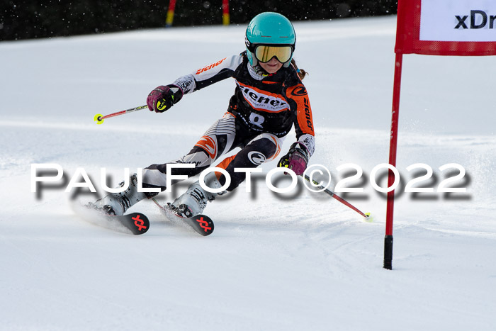 Ziener Kids Race Cross U12  Reg III + Ziener Cup WF