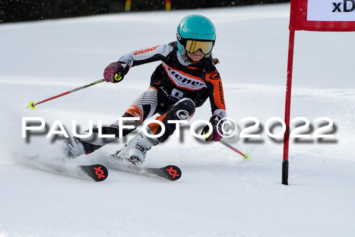 Ziener Kids Race Cross U12  Reg III + Ziener Cup WF