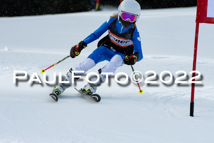 Ziener Kids Race Cross U12  Reg III + Ziener Cup WF