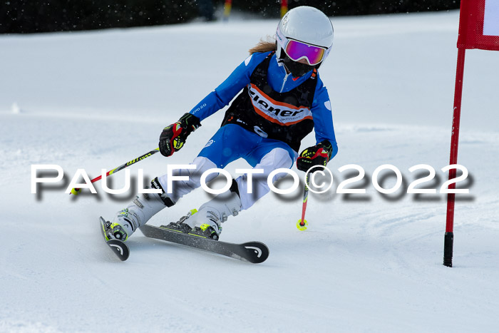 Ziener Kids Race Cross U12  Reg III + Ziener Cup WF