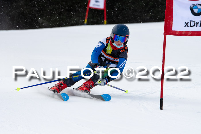 Ziener Kids Race Cross U12  Reg III + Ziener Cup WF