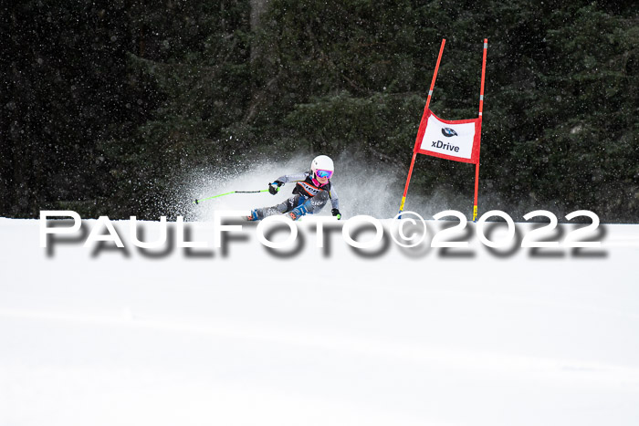 Ziener Kids Race Cross U12  Reg III + Ziener Cup WF