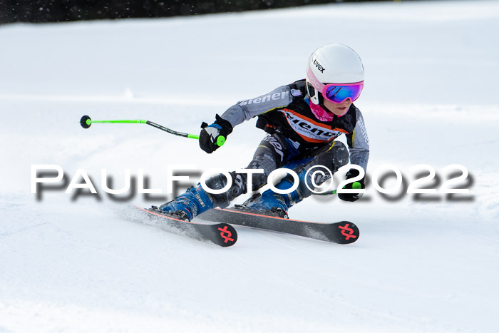 Ziener Kids Race Cross U12  Reg III + Ziener Cup WF