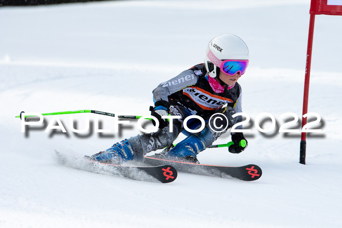 Ziener Kids Race Cross U12  Reg III + Ziener Cup WF