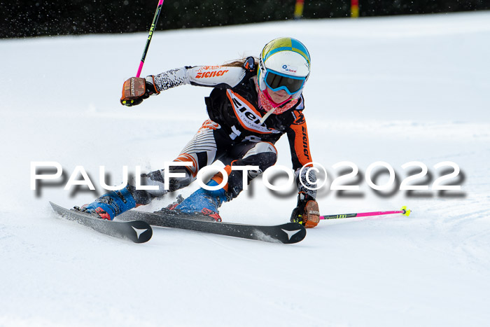 Ziener Kids Race Cross U12  Reg III + Ziener Cup WF