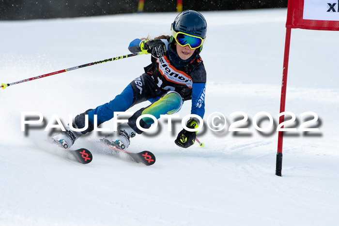 Ziener Kids Race Cross U12  Reg III + Ziener Cup WF