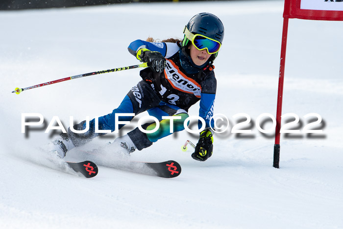 Ziener Kids Race Cross U12  Reg III + Ziener Cup WF